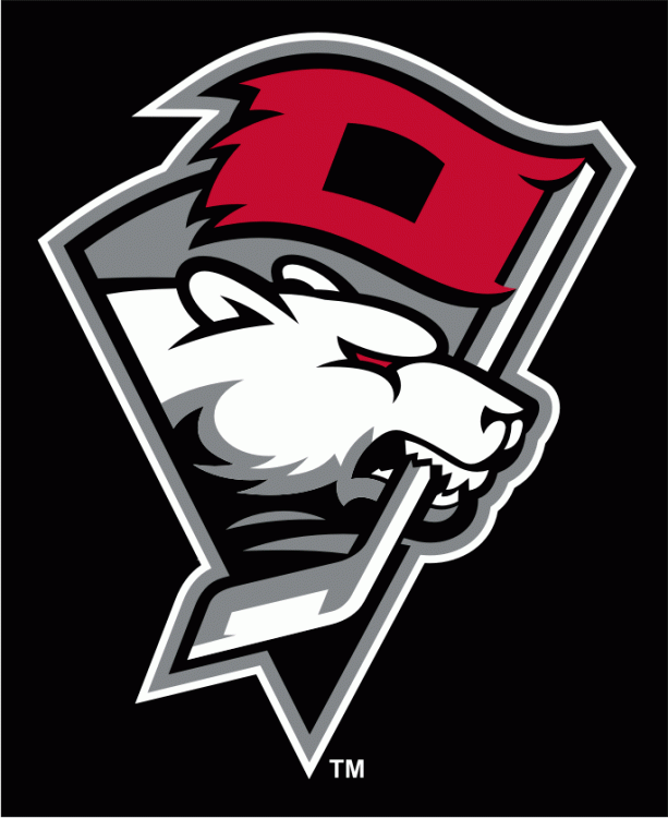 Charlotte Checkers 2010 11-Pres Alternate Logo iron on heat transfer...